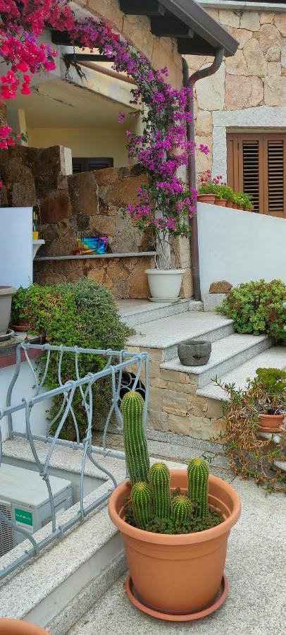 Villa Alberto Olbia Esterno foto