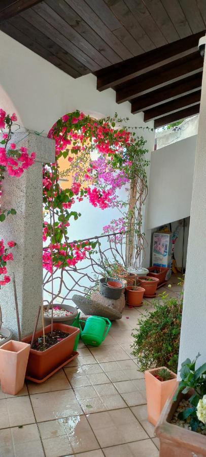 Villa Alberto Olbia Esterno foto